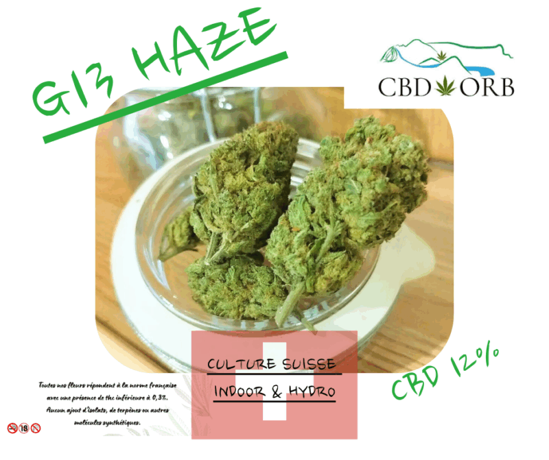 G13 Haze premium indoor, le Gramme – Image 2