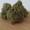 G13 Haze premium indoor, le Gramme