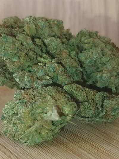 HARLEQUIN x CANNATONIC, le Gramme