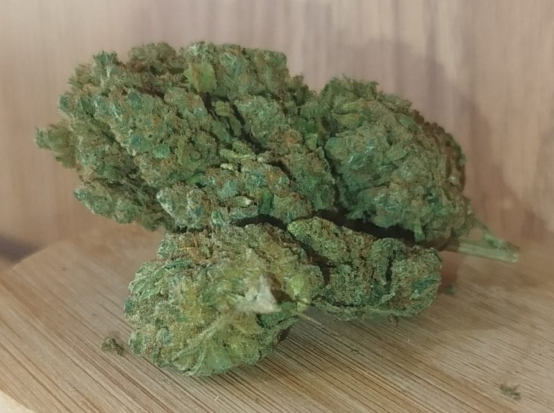 HARLEQUIN x CANNATONIC, le Gramme